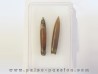 bélemnite NEOHIBOLITES STROMBECKIFORMIS (4)