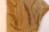 Metasequoia - Eocene - Colombie-Britanique - Canada