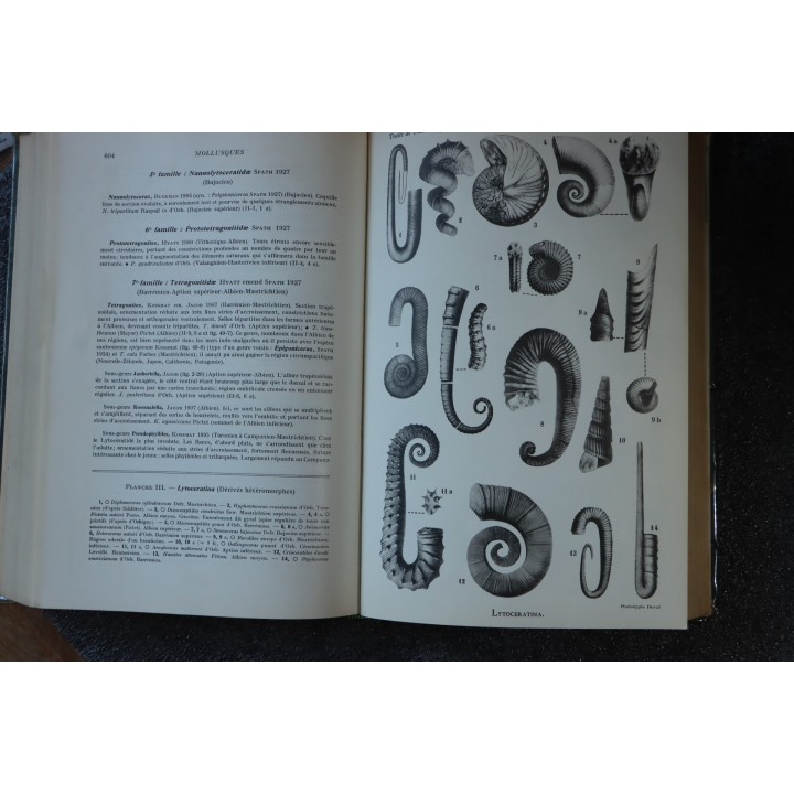 PIVETEAU - TRAITE DE PALEONTOLOGIE - TOME II: BRACHIOPODES, CHETOGNATHES, ANNELIDES, GEPHYRIENS, MOLLUSQUES
