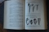 PIVETEAU - TRAITE DE PALEONTOLOGIE - TOME II: BRACHIOPODES, CHETOGNATHES, ANNELIDES, GEPHYRIENS, MOLLUSQUES