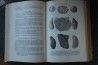 PIVETEAU - TRAITE DE PALEONTOLOGIE - TOME II: BRACHIOPODES, CHETOGNATHES, ANNELIDES, GEPHYRIENS, MOLLUSQUES