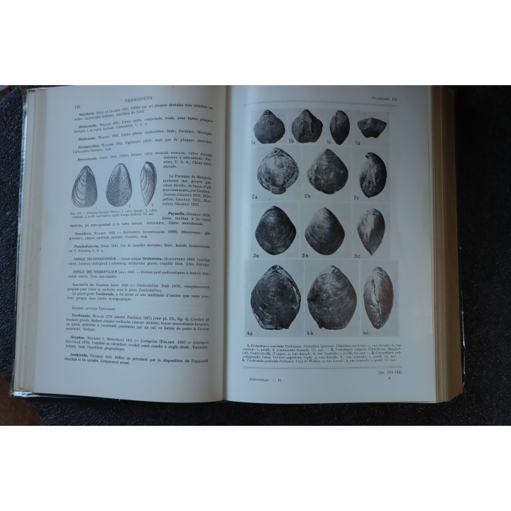 PIVETEAU - TRAITE DE PALEONTOLOGIE - TOME II: BRACHIOPODES, CHETOGNATHES, ANNELIDES, GEPHYRIENS, MOLLUSQUES