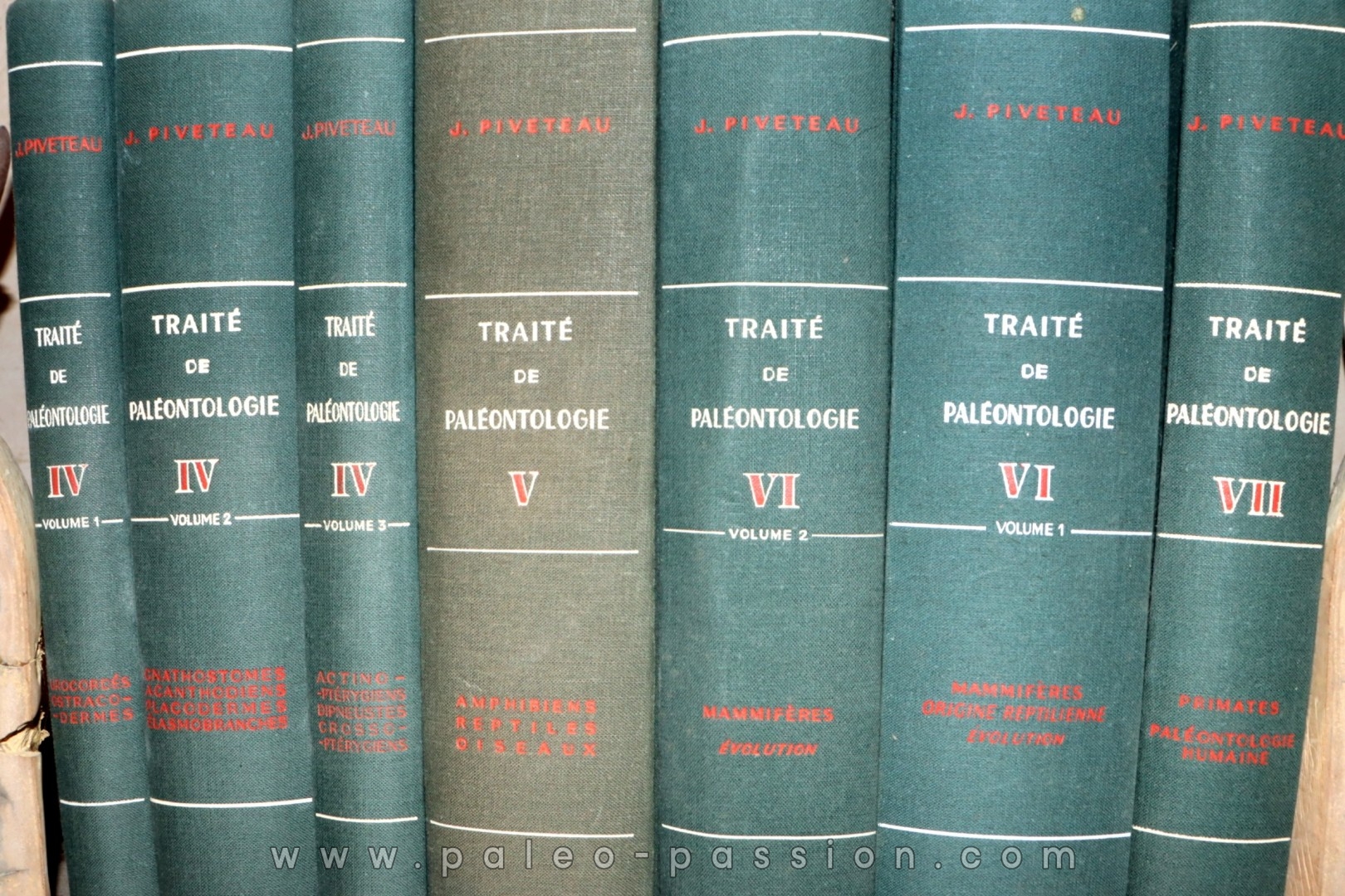 PIVETEAU: TRAITE DE PALEONTOLOGIE - TOME III - ONYCHOPODES, ARTHROPODES, ECHINODERMES, STOMOCORDES