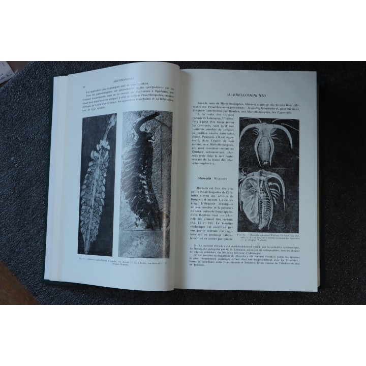 PIVETEAU: TRAITE DE PALEONTOLOGIE - TOME III - ONYCHOPODES, ARTHROPODES, ECHINODERMES, STOMOCORDES