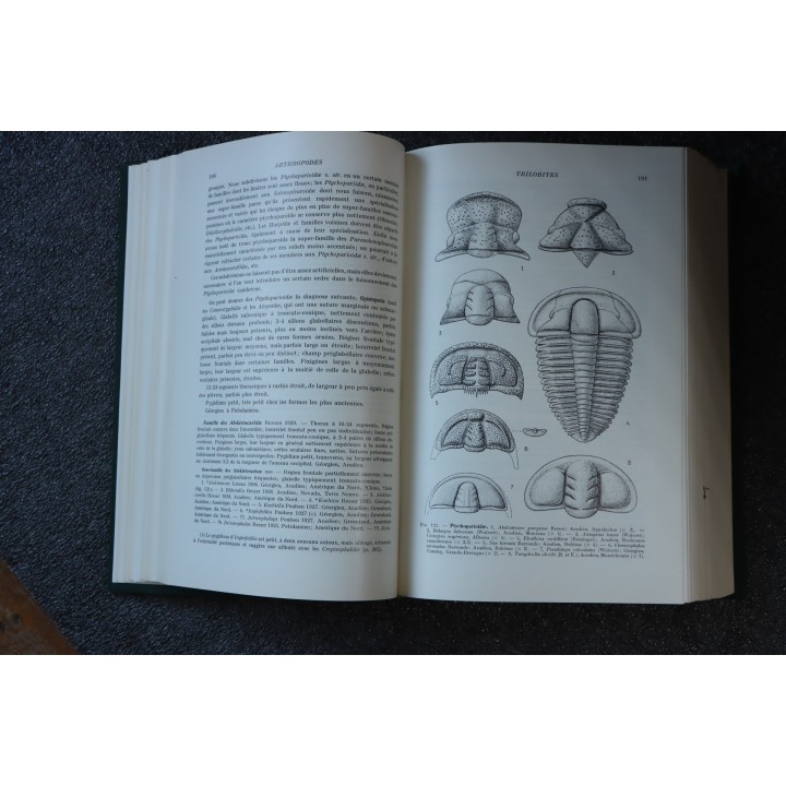 PIVETEAU: TRAITE DE PALEONTOLOGIE - TOME III - ONYCHOPODES, ARTHROPODES, ECHINODERMES, STOMOCORDES