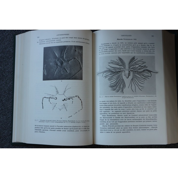 PIVETEAU: TRAITE DE PALEONTOLOGIE - TOME III - ONYCHOPODES, ARTHROPODES, ECHINODERMES, STOMOCORDES