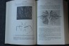 PIVETEAU: TRAITE DE PALEONTOLOGIE - TOME III - ONYCHOPODES, ARTHROPODES, ECHINODERMES, STOMOCORDES