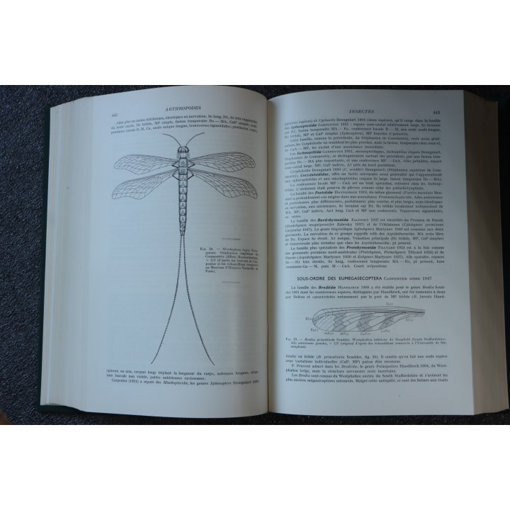 PIVETEAU: TRAITE DE PALEONTOLOGIE - TOME III - ONYCHOPODES, ARTHROPODES, ECHINODERMES, STOMOCORDES