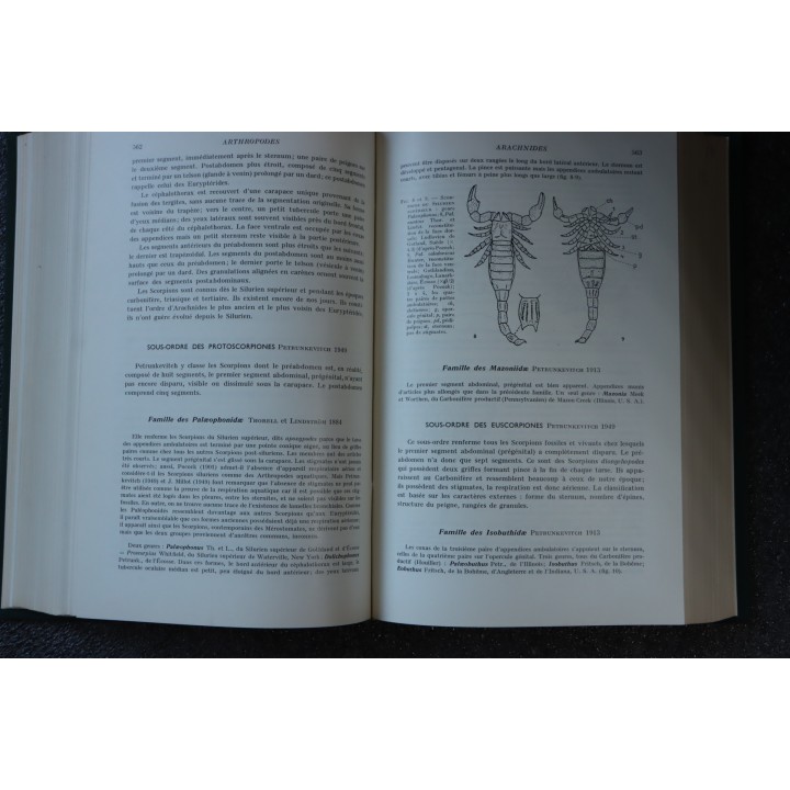 PIVETEAU: TRAITE DE PALEONTOLOGIE - TOME III - ONYCHOPODES, ARTHROPODES, ECHINODERMES, STOMOCORDES