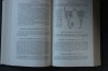 PIVETEAU: TRAITE DE PALEONTOLOGIE - TOME III - ONYCHOPODES, ARTHROPODES, ECHINODERMES, STOMOCORDES