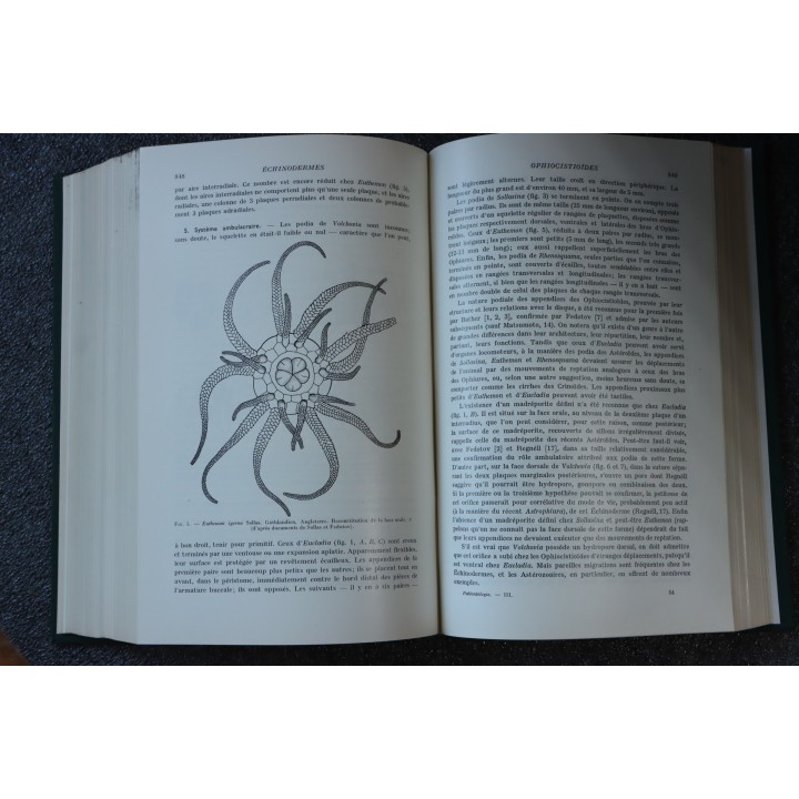 PIVETEAU: TRAITE DE PALEONTOLOGIE - TOME III - ONYCHOPODES, ARTHROPODES, ECHINODERMES, STOMOCORDES