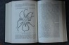 PIVETEAU: TRAITE DE PALEONTOLOGIE - TOME III - ONYCHOPODES, ARTHROPODES, ECHINODERMES, STOMOCORDES