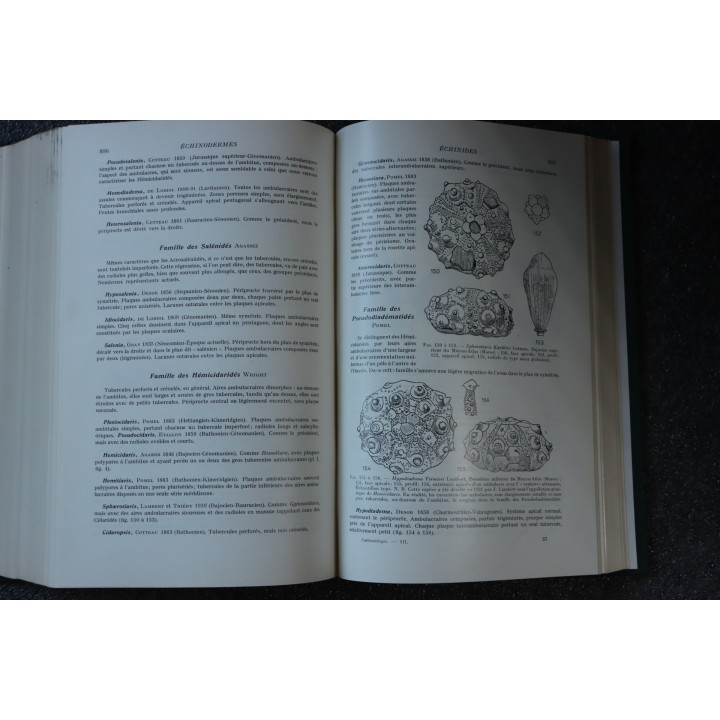 PIVETEAU: TRAITE DE PALEONTOLOGIE - TOME III - ONYCHOPODES, ARTHROPODES, ECHINODERMES, STOMOCORDES