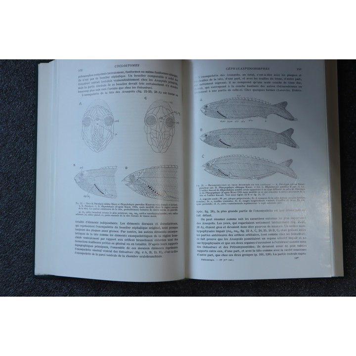 PIVETEAU: TRAITE DE PALEONTOLOGIE - TOME IV volume 1:  VERTEBRES (généralités) , AGNATHES
