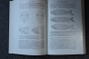 PIVETEAU: TRAITE DE PALEONTOLOGIE - TOME IV volume 1: VERTEBRES (généralités) , AGNATHES