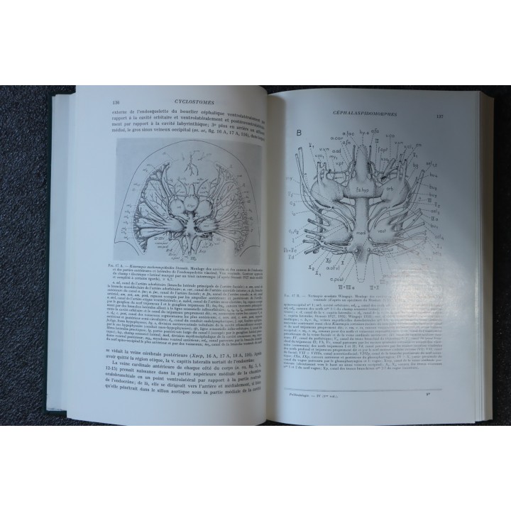PIVETEAU: TRAITE DE PALEONTOLOGIE - TOME IV volume 1:  VERTEBRES (généralités) , AGNATHES