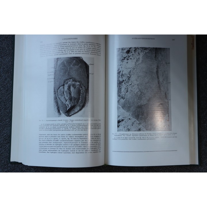 PIVETEAU: TRAITE DE PALEONTOLOGIE - TOME IV volume 1:  VERTEBRES (généralités) , AGNATHES