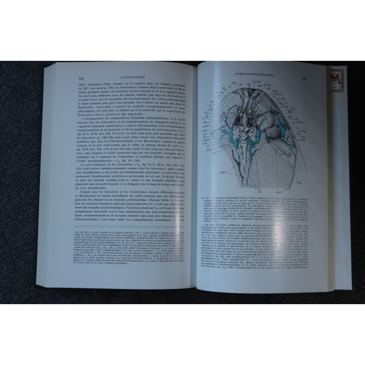 PIVETEAU: TRAITE DE PALEONTOLOGIE - TOME IV volume 1:  VERTEBRES (généralités) , AGNATHES