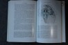 PIVETEAU: TRAITE DE PALEONTOLOGIE - TOME IV volume 1: VERTEBRES (généralités) , AGNATHES
