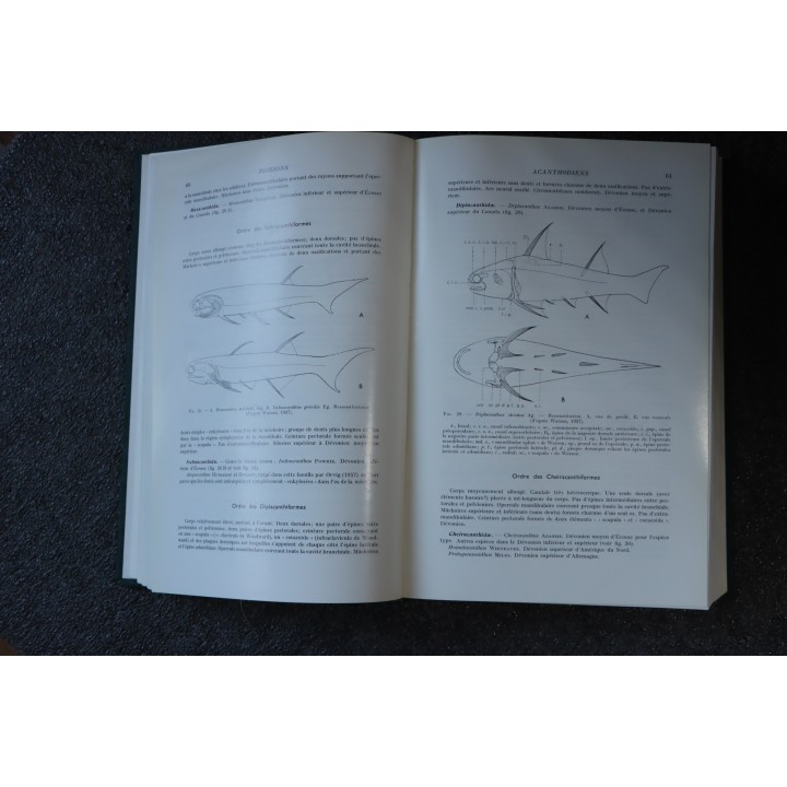PIVETEAU: TRAITE DE PALEONTOLOGIE - TOME IV volume 2:  GNATHOSTOMES, ACANTHODIENS, PLACODERMES, ELASMOBRANCHES