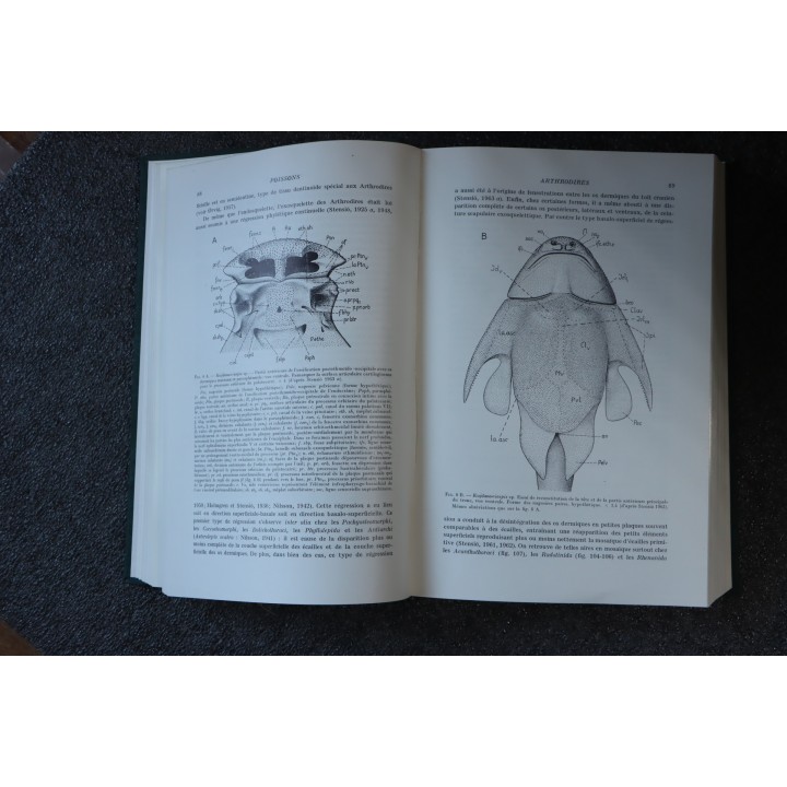 PIVETEAU: TRAITE DE PALEONTOLOGIE - TOME IV volume 2:  GNATHOSTOMES, ACANTHODIENS, PLACODERMES, ELASMOBRANCHES