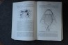 PIVETEAU: TRAITE DE PALEONTOLOGIE - TOME IV volume 2:  GNATHOSTOMES, ACANTHODIENS, PLACODERMES, ELASMOBRANCHES
