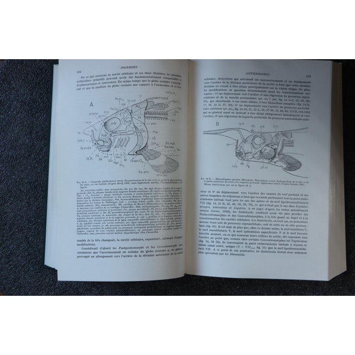 PIVETEAU: TRAITE DE PALEONTOLOGIE - TOME IV volume 2:  GNATHOSTOMES, ACANTHODIENS, PLACODERMES, ELASMOBRANCHES
