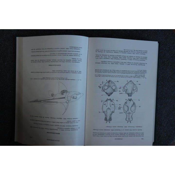 PIVETEAU: TRAITE DE PALEONTOLOGIE - TOME IV volume 2:  GNATHOSTOMES, ACANTHODIENS, PLACODERMES, ELASMOBRANCHES