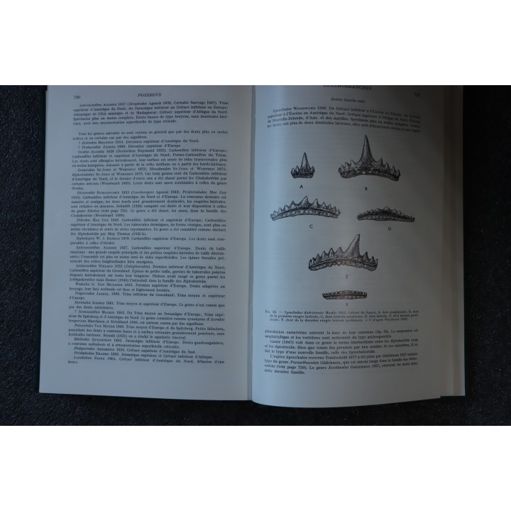 PIVETEAU: TRAITE DE PALEONTOLOGIE - TOME IV volume 2:  GNATHOSTOMES, ACANTHODIENS, PLACODERMES, ELASMOBRANCHES