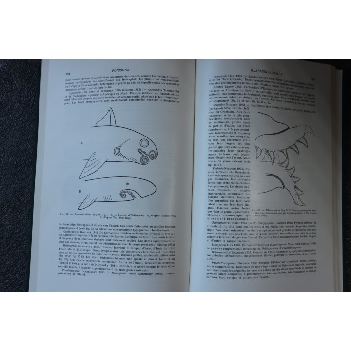 PIVETEAU: TRAITE DE PALEONTOLOGIE - TOME IV volume 2:  GNATHOSTOMES, ACANTHODIENS, PLACODERMES, ELASMOBRANCHES