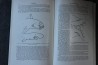 PIVETEAU: TRAITE DE PALEONTOLOGIE - TOME IV volume 2:  GNATHOSTOMES, ACANTHODIENS, PLACODERMES, ELASMOBRANCHES