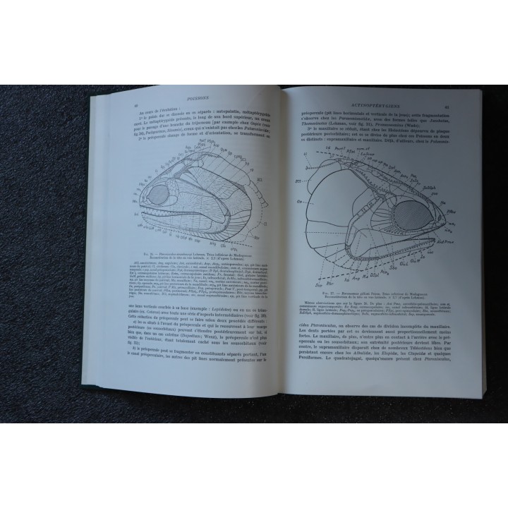 PIVETEAU: TRAITE DE PALEONTOLOGIE - TOME IV volume 3  ACTINOPTERYGIENS, CROSSOPTERYGIENS, DIPNEUSTES
