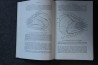 PIVETEAU: TRAITE DE PALEONTOLOGIE - TOME IV volume 3 ACTINOPTERYGIENS, CROSSOPTERYGIENS, DIPNEUSTES