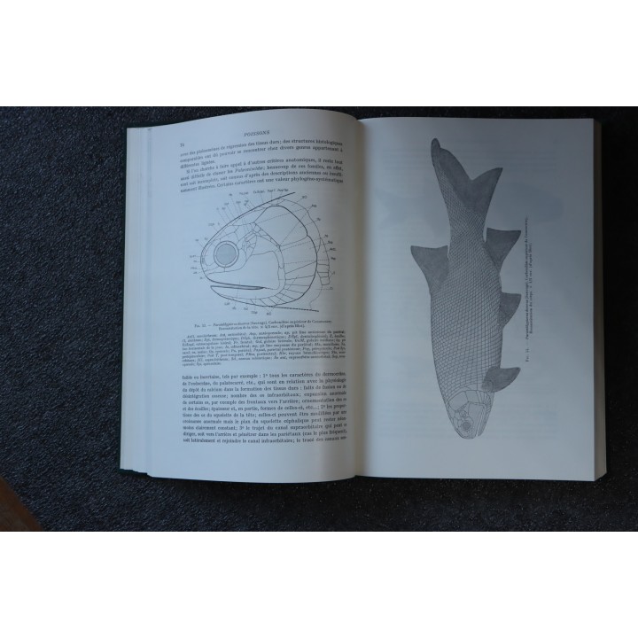 PIVETEAU: TRAITE DE PALEONTOLOGIE - TOME IV volume 3  ACTINOPTERYGIENS, CROSSOPTERYGIENS, DIPNEUSTES