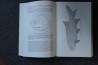 PIVETEAU: TRAITE DE PALEONTOLOGIE - TOME IV volume 3 ACTINOPTERYGIENS, CROSSOPTERYGIENS, DIPNEUSTES