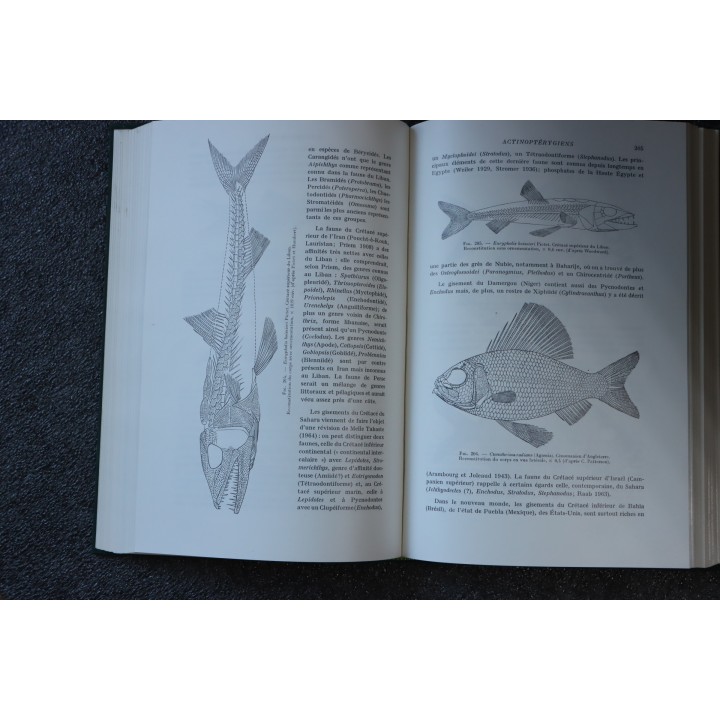 PIVETEAU: TRAITE DE PALEONTOLOGIE - TOME IV volume 3  ACTINOPTERYGIENS, CROSSOPTERYGIENS, DIPNEUSTES