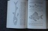 PIVETEAU: TRAITE DE PALEONTOLOGIE - TOME IV volume 3 ACTINOPTERYGIENS, CROSSOPTERYGIENS, DIPNEUSTES