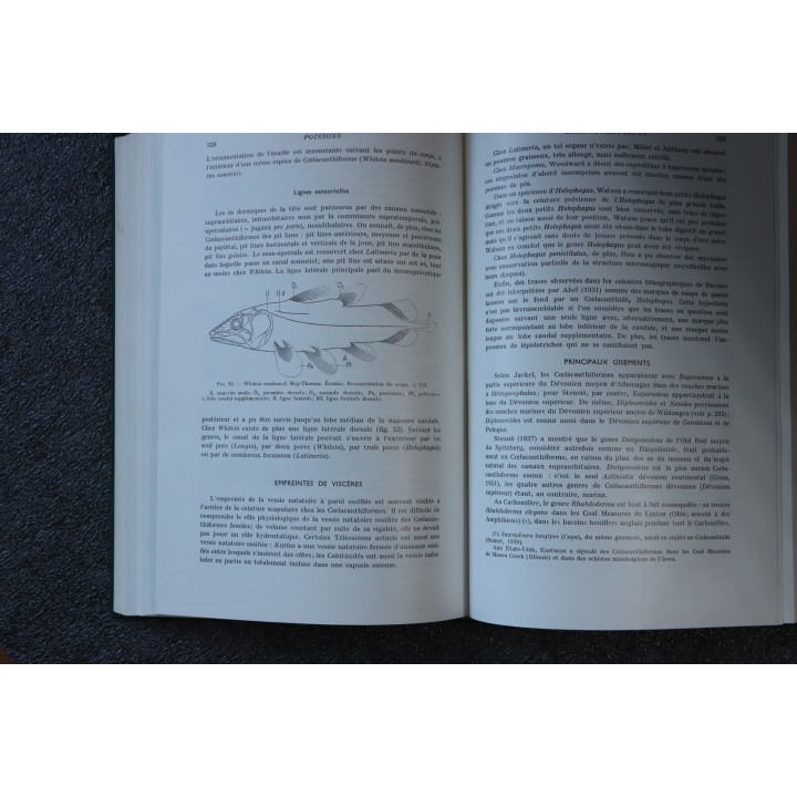 PIVETEAU: TRAITE DE PALEONTOLOGIE - TOME IV volume 3  ACTINOPTERYGIENS, CROSSOPTERYGIENS, DIPNEUSTES