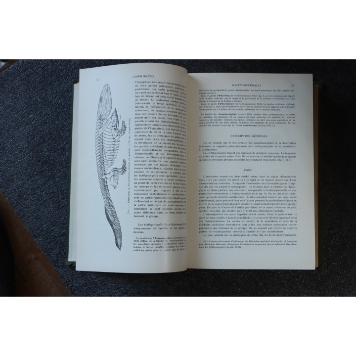 PIVETEAU: TRAITE DE PALEONTOLOGIE - TOME V: AMPHIBIENS, REPTILES, OISEAUX