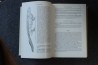 PIVETEAU: TRAITE DE PALEONTOLOGIE - TOME V: AMPHIBIENS, REPTILES, OISEAUX