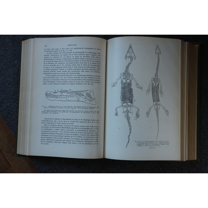 PIVETEAU: TRAITE DE PALEONTOLOGIE - TOME V: AMPHIBIENS, REPTILES, OISEAUX