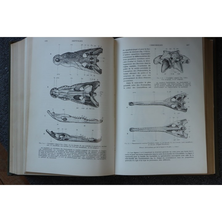 PIVETEAU: TRAITE DE PALEONTOLOGIE - TOME V: AMPHIBIENS, REPTILES, OISEAUX