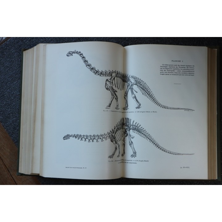 PIVETEAU: TRAITE DE PALEONTOLOGIE - TOME V: AMPHIBIENS, REPTILES, OISEAUX