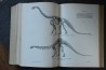 PIVETEAU: TRAITE DE PALEONTOLOGIE - TOME V: AMPHIBIENS, REPTILES, OISEAUX