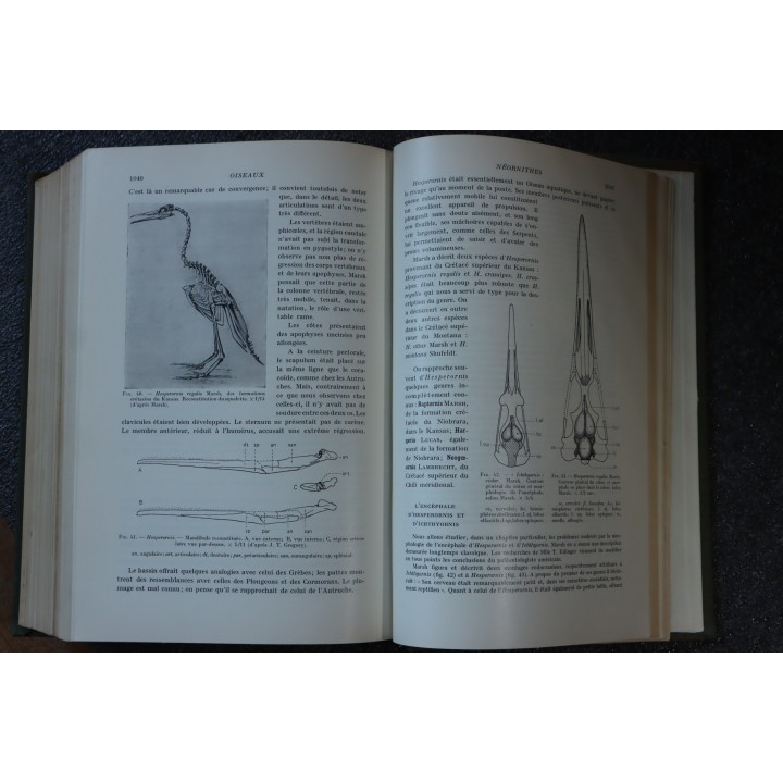 PIVETEAU: TRAITE DE PALEONTOLOGIE - TOME V: AMPHIBIENS, REPTILES, OISEAUX