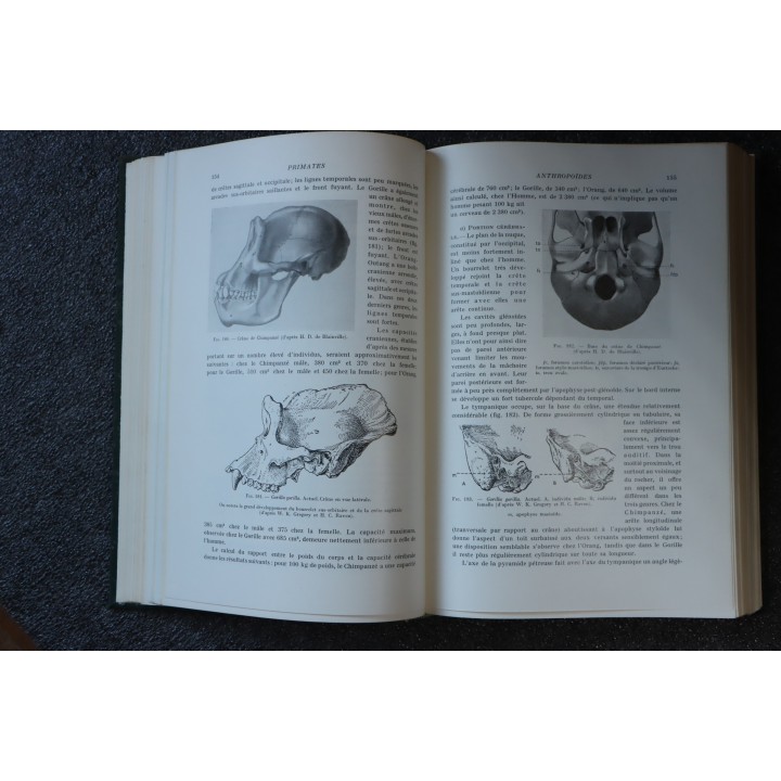 PIVETEAU: TRAITE DE PALEONTOLOGIE - TOME  VII : PRIMATE, PALEONTOLOGIE HUMAINE