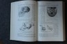 PIVETEAU: TRAITE DE PALEONTOLOGIE - TOME VII : PRIMATE, PALEONTOLOGIE HUMAINE
