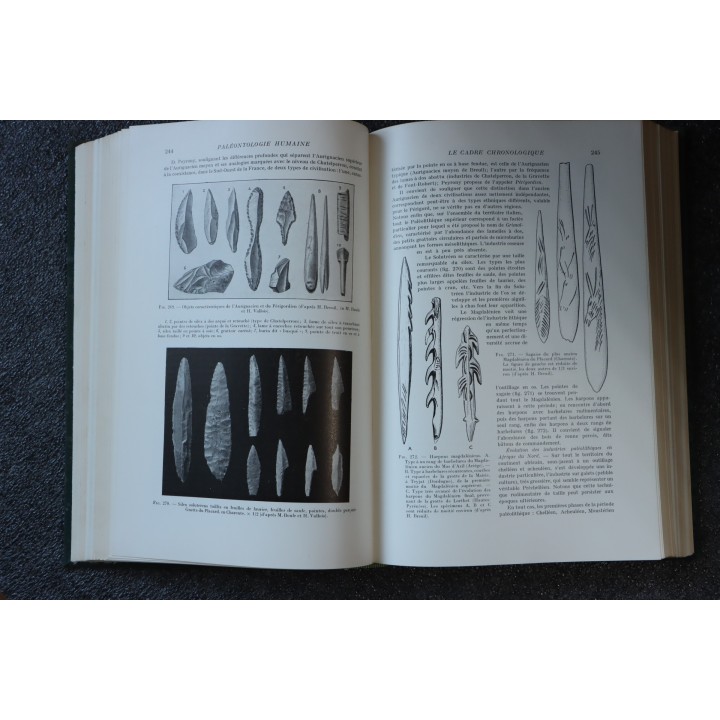 PIVETEAU: TRAITE DE PALEONTOLOGIE - TOME  VII : PRIMATE, PALEONTOLOGIE HUMAINE