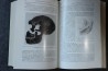 PIVETEAU: TRAITE DE PALEONTOLOGIE - TOME VII : PRIMATE, PALEONTOLOGIE HUMAINE