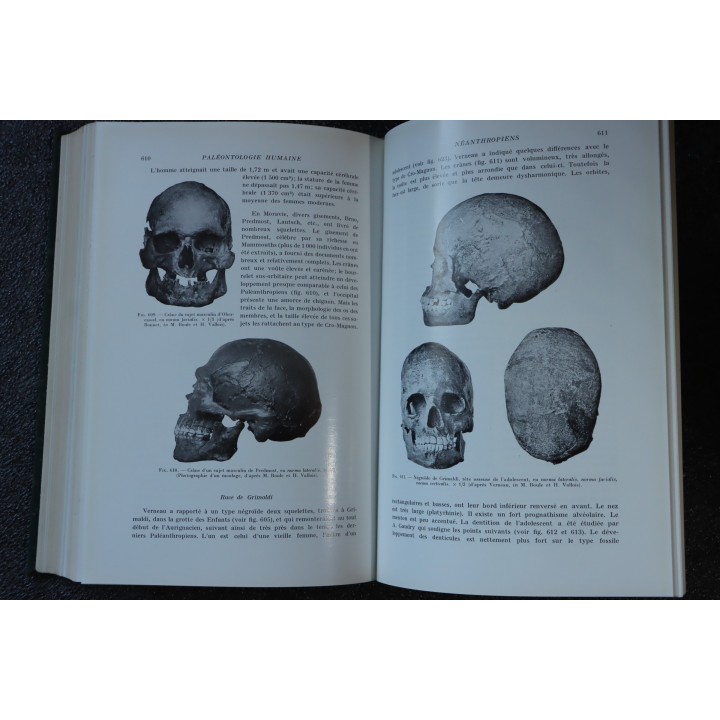 PIVETEAU: TRAITE DE PALEONTOLOGIE - TOME  VII : PRIMATE, PALEONTOLOGIE HUMAINE
